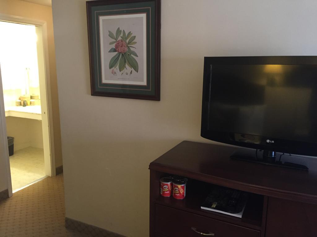 Double Room Two Double Beds