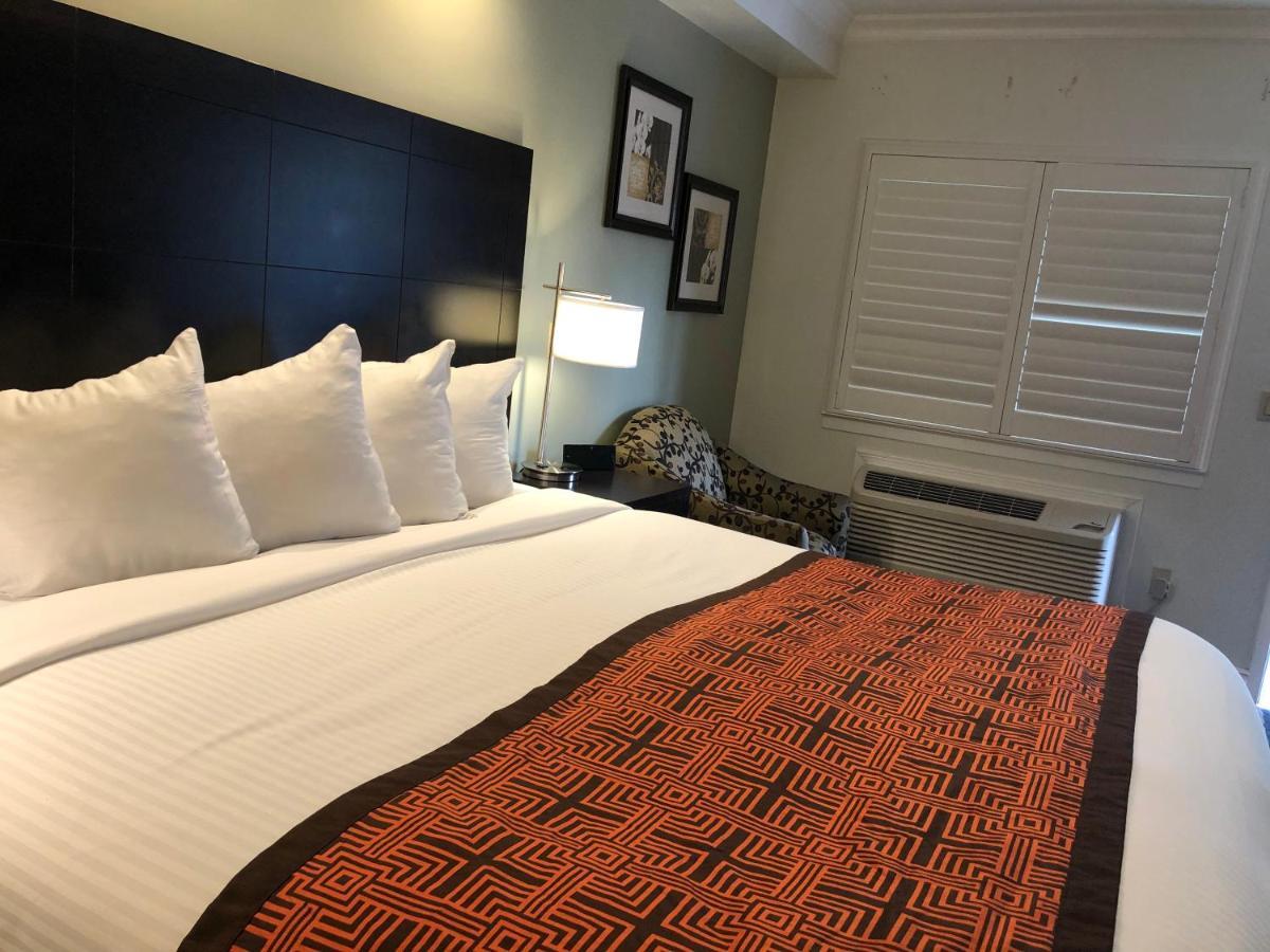 King Room Disability Access